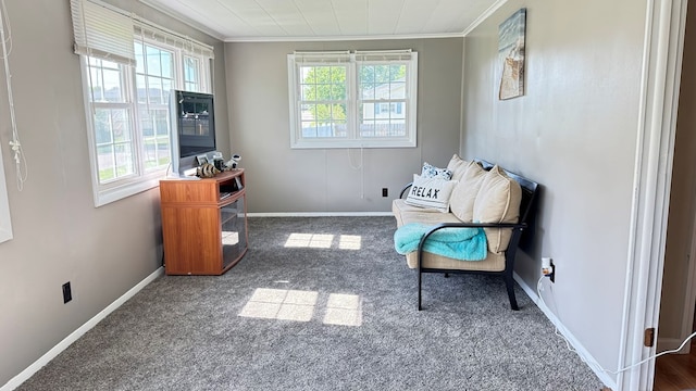 106 Magnolia St, Athens, PA 18810 - living area with crown molding and carpet