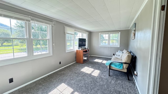 106 Magnolia St, Athens, PA 18810 - view of sunroom