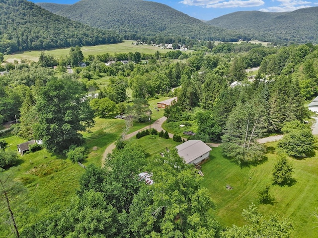 38 Elmers Ln, Wellsboro, PA 16901 - photo 29