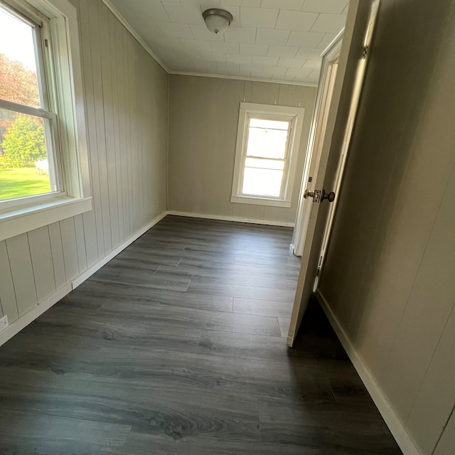 interior space with a healthy amount of sunlight, dark hardwood / wood-style flooring, and crown molding