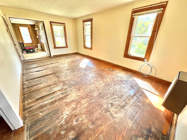 unfurnished room with hardwood / wood-style floors and ornamental molding