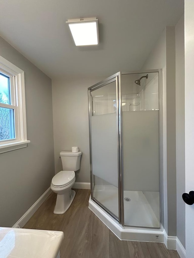 342 Smoke Rise Rd, Mansfield, PA 16933 - bathroom with wood finished floors and a shower stall