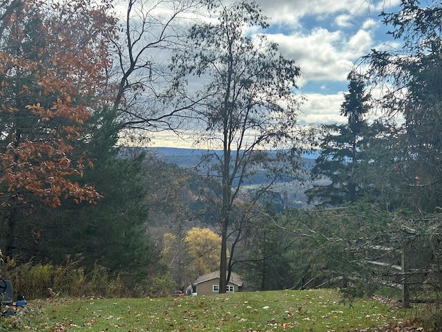 342 Smoke Rise Rd, Mansfield, PA 16933 - view of mountain backdrop featuring a heavily wooded area