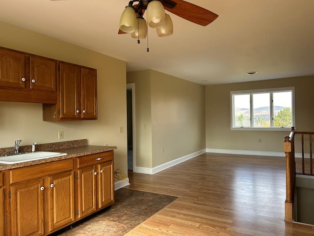 kitchen with wood-type flooring, ceiling fan, and sink