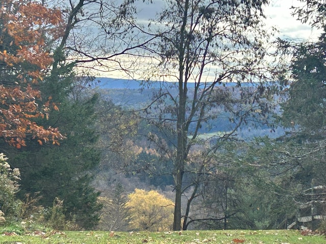 342 Smoke Rise Rd, Mansfield, PA 16933 - water view with a forest