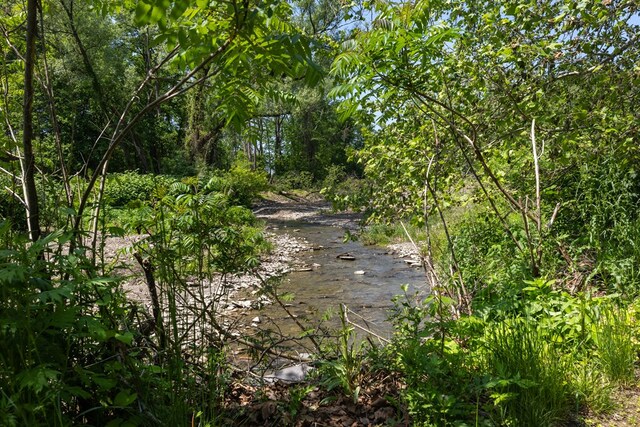 213 Holden St, Osceola, PA 16942 - view of local wilderness