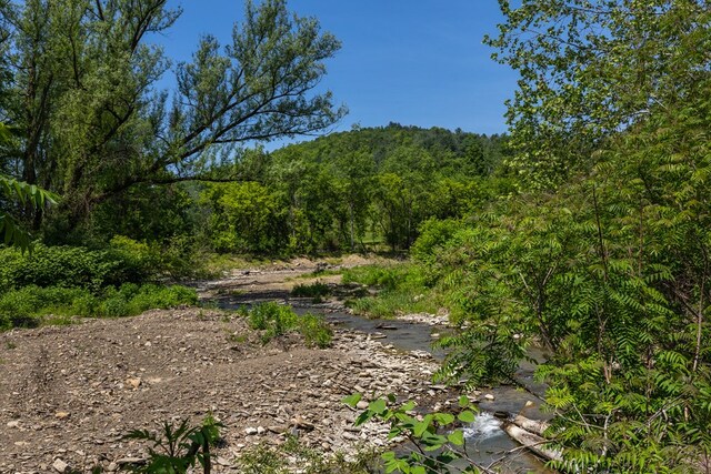 213 Holden St, Osceola, PA 16942 - view of wooded area