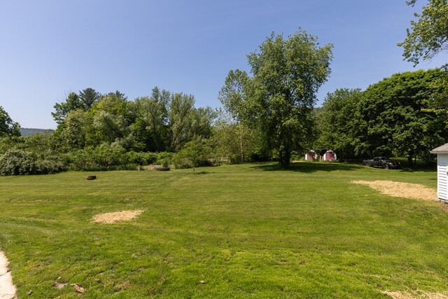 213 Holden St, Osceola, PA 16942 - view of green lawn