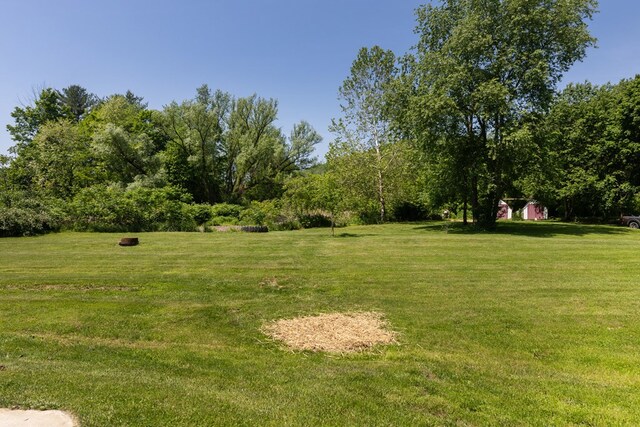 213 Holden St, Osceola, PA 16942 - view of green lawn