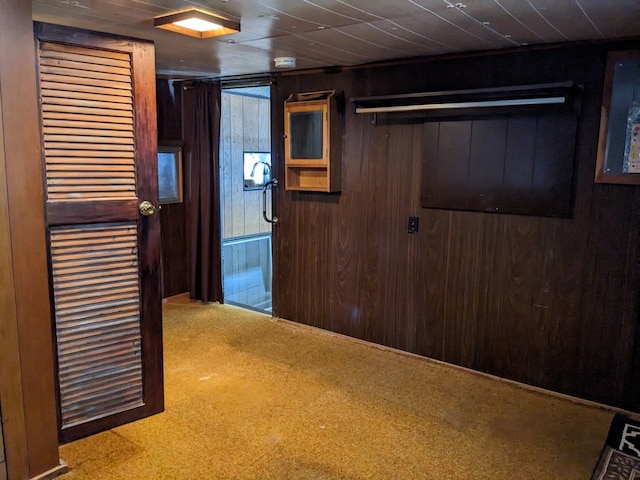 interior space with carpet floors and wooden walls