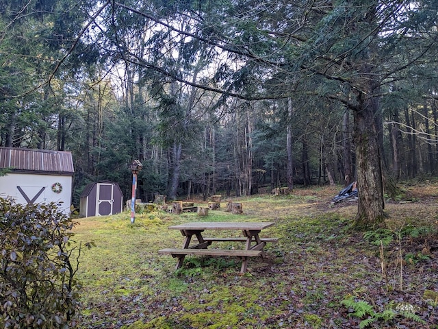 view of yard featuring a storage shed