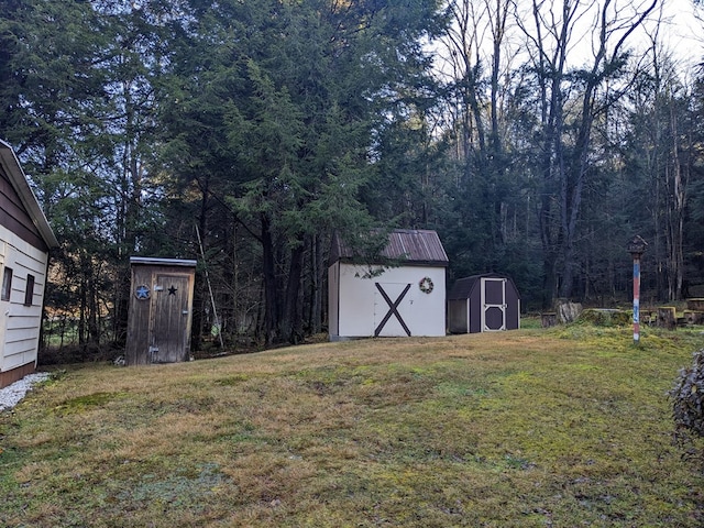 view of yard featuring a shed