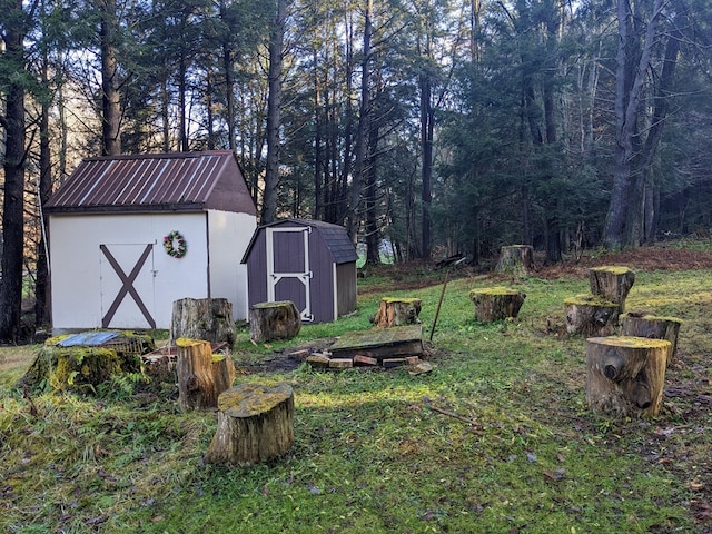 view of yard with a storage shed