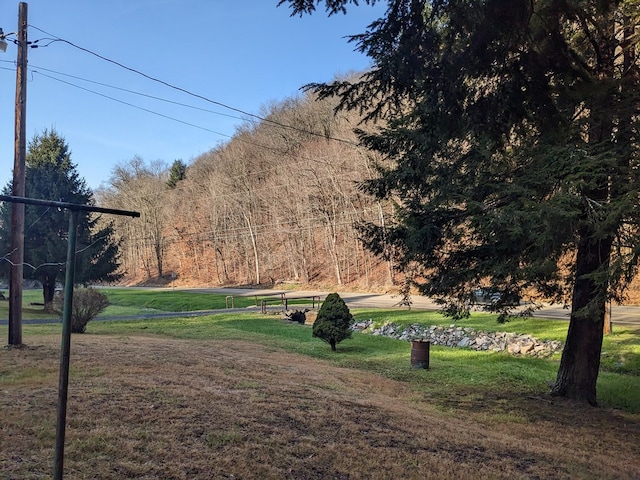 view of community featuring a lawn