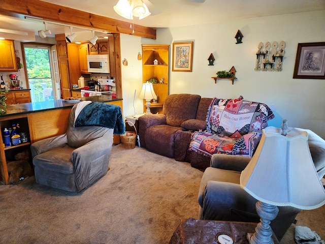 16 Evergreen Dr, Tunkhannock, PA 12155 - living room with carpet and ceiling fan