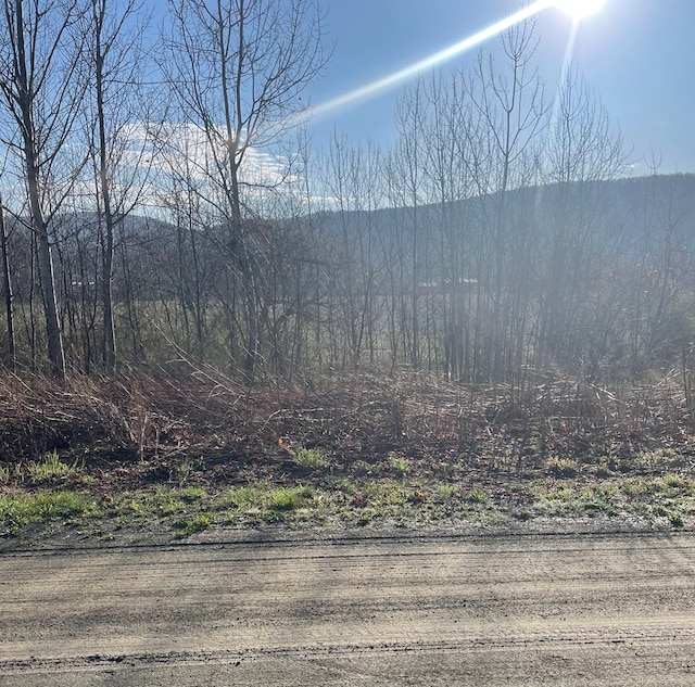 0 Cumming Rd, Tioga, PA 16946 - photo 10