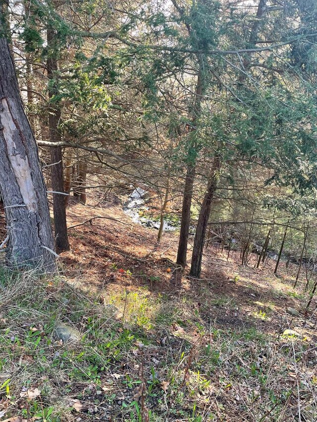 0 Cumming Rd, Tioga, PA 16946 - photo 8