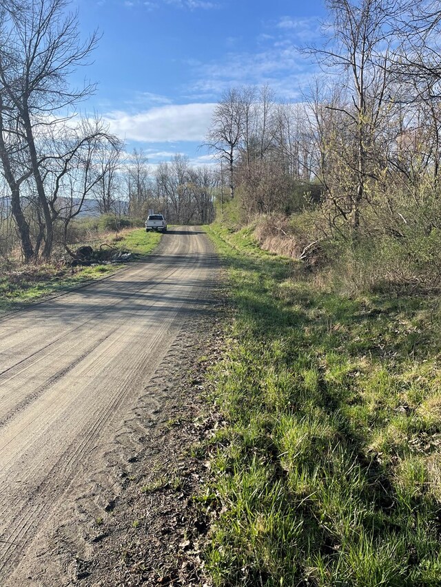 0 Cumming Rd, Tioga, PA 16946 - photo 12