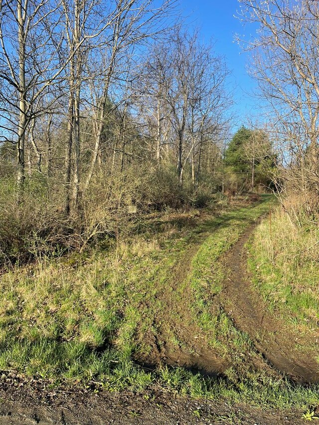 0 Cumming Rd, Tioga, PA 16946 - photo 3