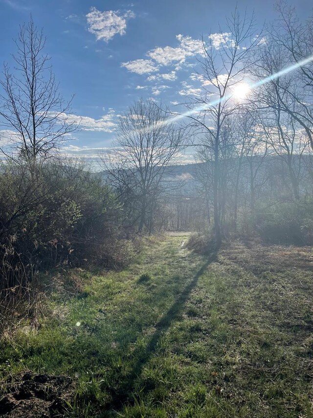 0 Cumming Rd, Tioga, PA 16946 - photo 6