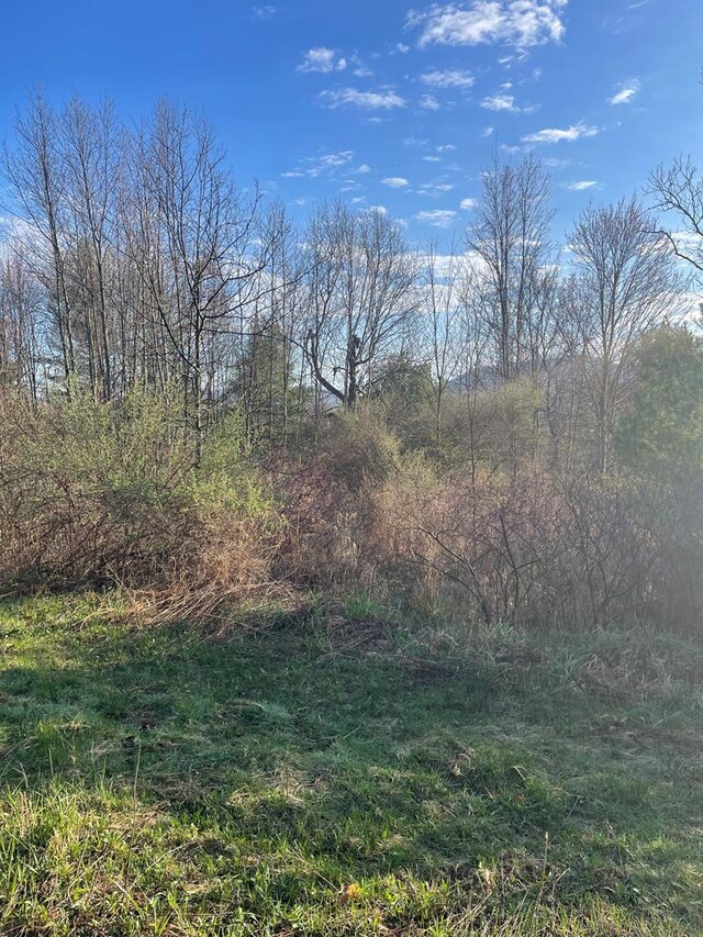 0 Cumming Rd, Tioga, PA 16946 - photo 7
