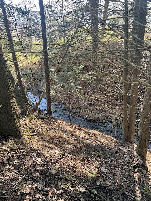 0 Cumming Rd, Tioga, PA 16946 - photo 2