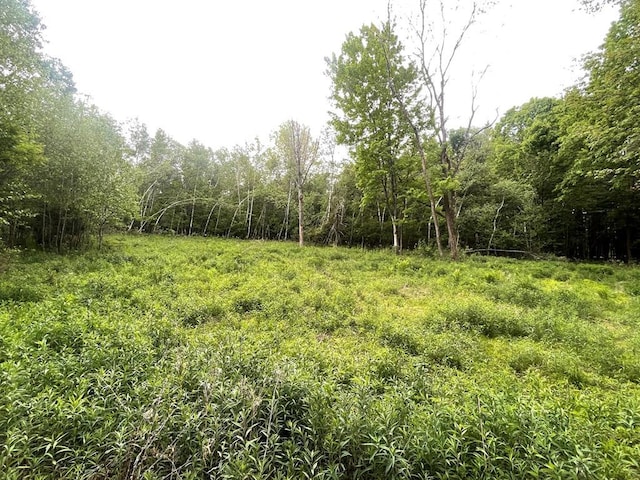 Listing photo 2 for 5.41AC Kerrick Hill Rd, Towanda PA 18848