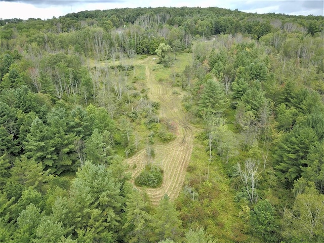 246 Grippen Hill Rd, Vestal NY, 13850 land for sale