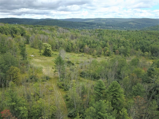 246 Grippen Hill Rd, Vestal, NY 13850 - photo 2