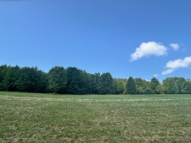 view of yard featuring a rural view