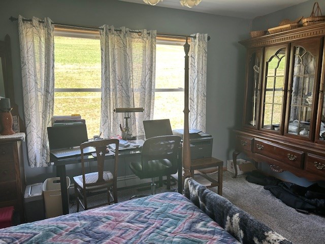 bedroom featuring carpet flooring