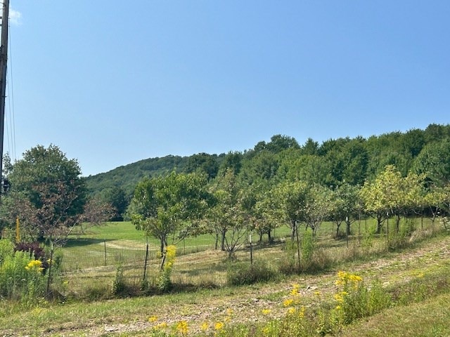 mountain view featuring a rural view