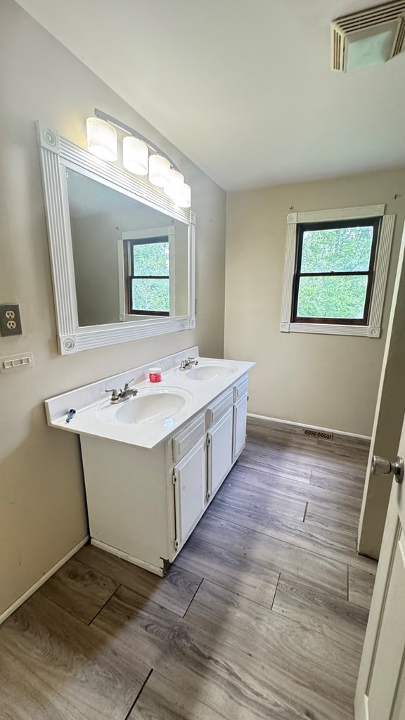8380 Sheshequin Rd, Athens, PA 18810 - bathroom with healthy amount of natural light, wood finished floors, and double vanity