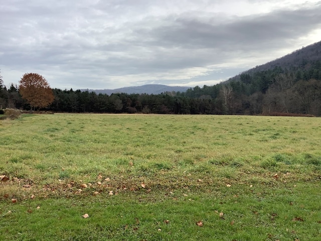 5048 Rte 49, Knoxville, PA 16938 - photo 8