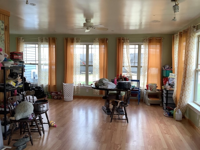 interior space with a wealth of natural light, ceiling fan, and light wood-type flooring