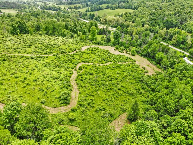 0 Locey Creek Rd, Middlebury Center, PA 16935 - photo 28