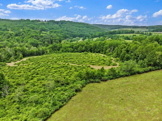 0 Locey Creek Rd, Middlebury Center, PA 16935 - photo 18