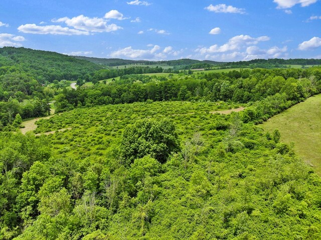 0 Locey Creek Rd, Middlebury Center, PA 16935 - photo 13