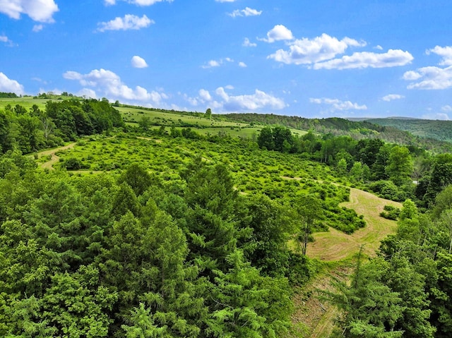 0 Locey Creek Rd, Middlebury Center, PA 16935 - photo 3