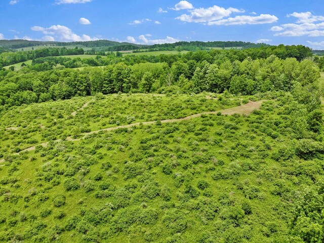 0 Locey Creek Rd, Middlebury Center, PA 16935 - photo 9
