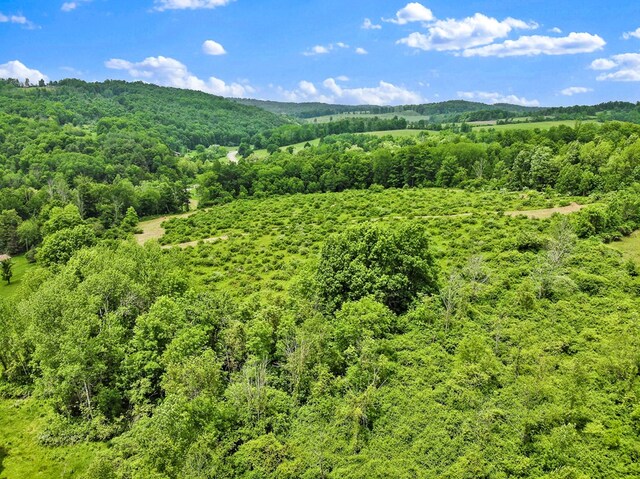 0 Locey Creek Rd, Middlebury Center, PA 16935 - photo 11