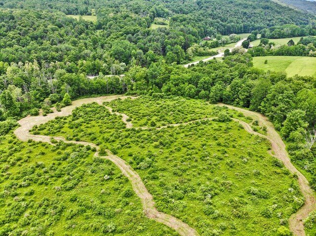 0 Locey Creek Rd, Middlebury Center, PA 16935 - photo 25