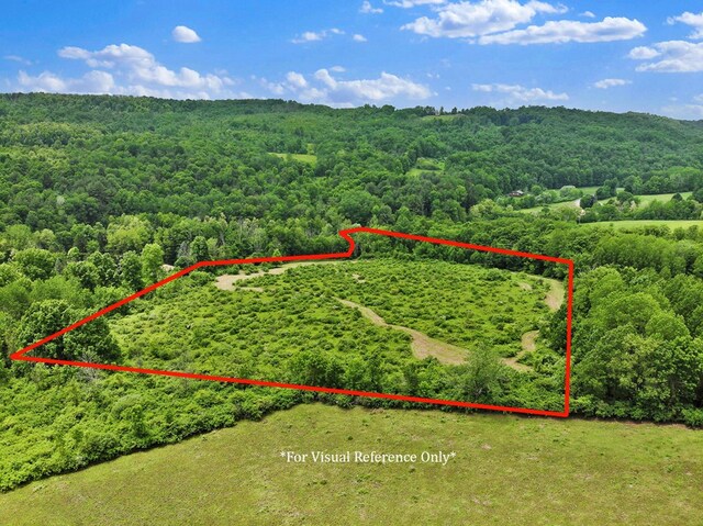 0 Locey Creek Rd, Middlebury Center, PA 16935 - photo 22