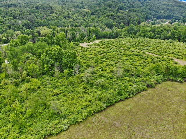 0 Locey Creek Rd, Middlebury Center, PA 16935 - photo 17