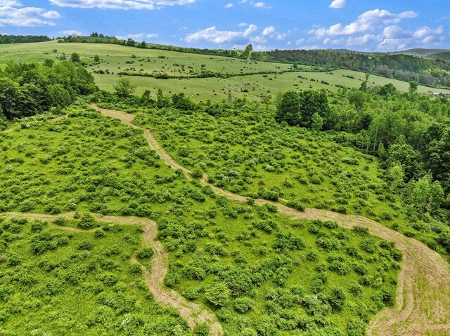 0 Locey Creek Rd, Middlebury Center, PA 16935 - photo 6