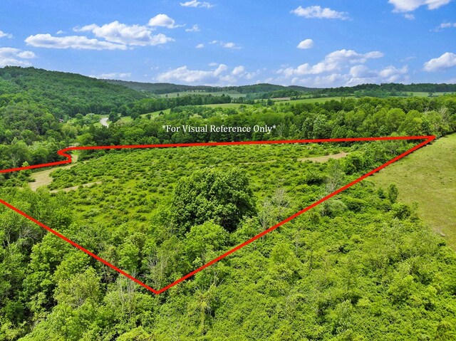 0 Locey Creek Rd, Middlebury Center, PA 16935 - photo 12
