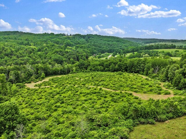 0 Locey Creek Rd, Middlebury Center, PA 16935 - photo 16