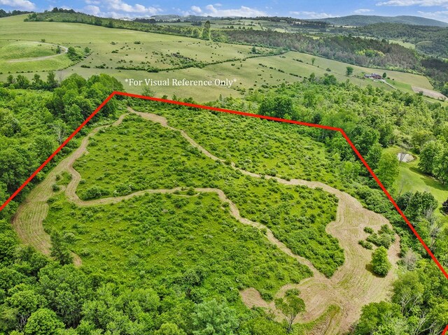 0 Locey Creek Rd, Middlebury Center, PA 16935 - photo 29