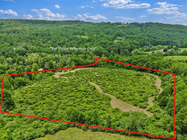 0 Locey Creek Rd, Middlebury Center, PA 16935 - photo 20