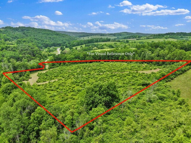 0 Locey Creek Rd, Middlebury Center, PA 16935 - photo 14